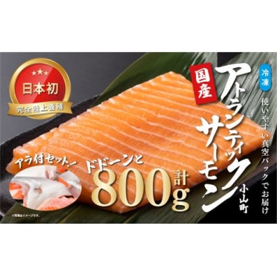 【日本初:完全陸上養殖】小山町産 アトランティックサーモン【冷凍】800g +アラ付きセット10B8