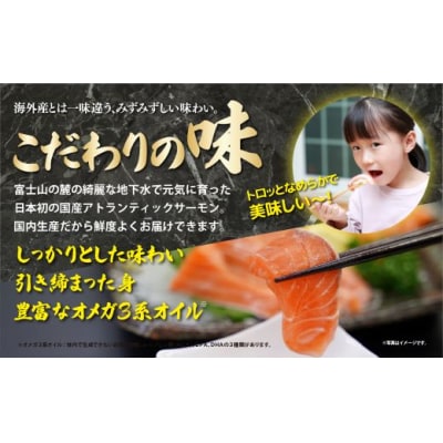 【日本初:完全陸上養殖】小山町産 アトランティックサーモン【冷凍】800g +アラ付きセット10B8