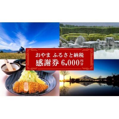 おやま ふるさと納税 感謝券 20,000円分(1,000円券×6枚)E16