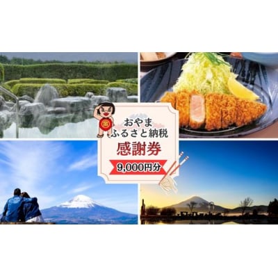 おやま ふるさと納税 感謝券 30,000円分(1,000円券×9枚)2G17