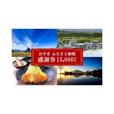 おやま ふるさと納税 感謝券 15,000円分(1,000円券×15枚)