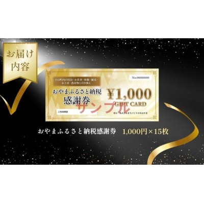 おやま ふるさと納税 感謝券 50,000円分(1,000円券×15枚)J12