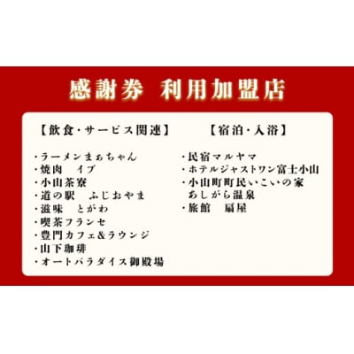 おやま ふるさと納税 感謝券 15,000円分(1,000円券×15枚)