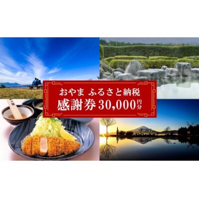 おやま ふるさと納税 感謝券 100,000円分(1,000円券×30枚)O40