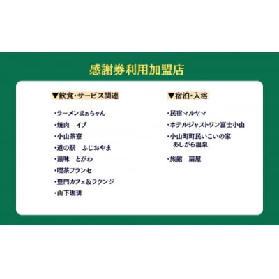 おやま ふるさと納税 感謝券 100,000円分(1,000円券×30枚)O40