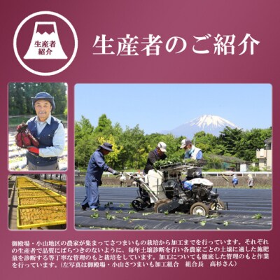 【先行予約】干し芋 60袋 7.8kg 富士山のふところ育ち