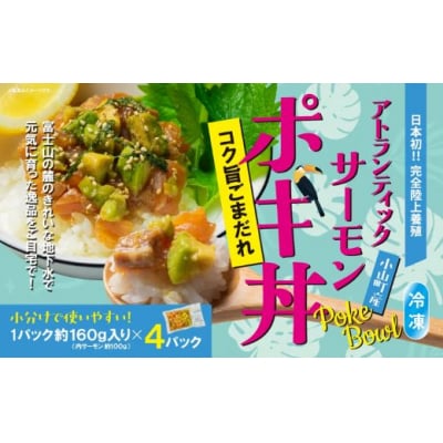 小山町産 アトランティックサーモン 冷凍 ポキ丼 ( 約160g × 4パック )コク旨ごまだれ