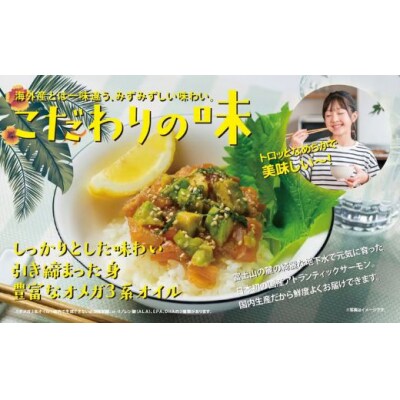 小山町産 アトランティックサーモン ポキ丼 約160g × 4パック コク旨ごまだれ 国産サーモン