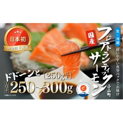 フジアトランティックサーモン(1パック)