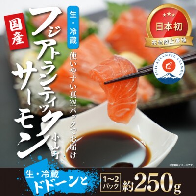 静岡県小山町産 フジアトランティックサーモン 刺身用 生 冷蔵 1～2P 約250g 国産サーモン