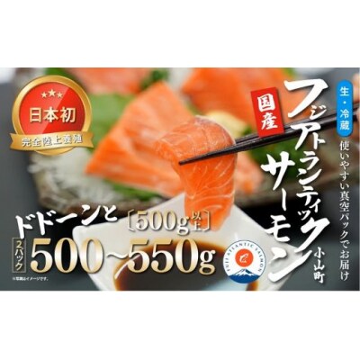 フジアトランティックサーモン(2パック)	