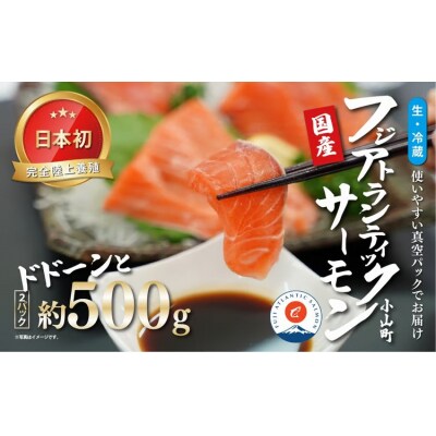 	日本初 完全陸上養殖 フジアトランティックサーモン 生 ・冷蔵 2パック 約500g
