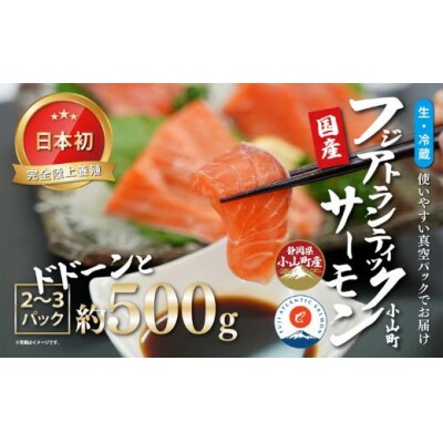 日本初 完全陸上養殖 静岡県小山町産 フジアトランティックサーモン 生 ・冷蔵 2～3P 約500g