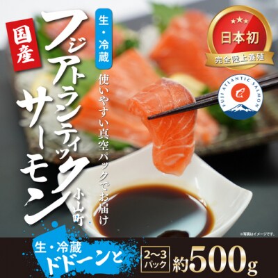 静岡県小山町産 フジアトランティックサーモン 刺身用 生 冷蔵 2～3P 約500g 国産サーモン