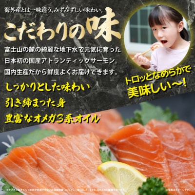 静岡県小山町産 フジアトランティックサーモン 刺身用 生 冷蔵 2～3P 約500g 国産サーモン
