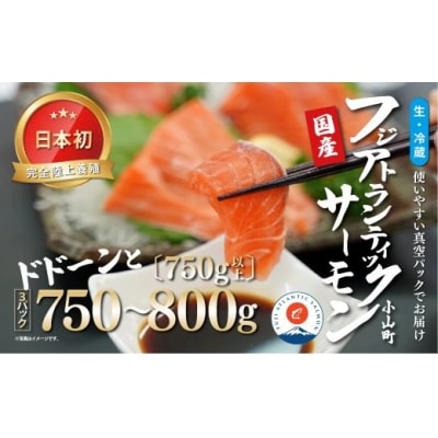 フジアトランティックサーモン(3パック)