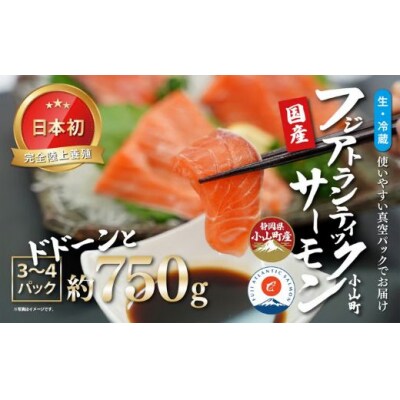 日本初 完全陸上養殖 静岡県小山町産 フジアトランティックサーモン 生 ・冷蔵 3～4P 約750g