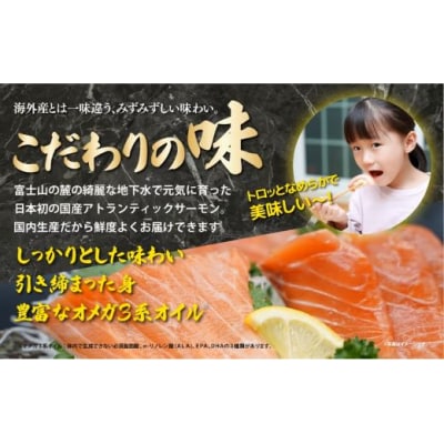 日本初 完全陸上養殖 フジアトランティックサーモン 生 ・冷蔵 3パック 約750g