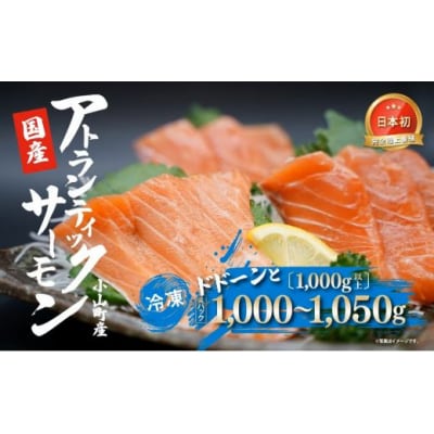 小山町産アトランティックサーモン(4パック)