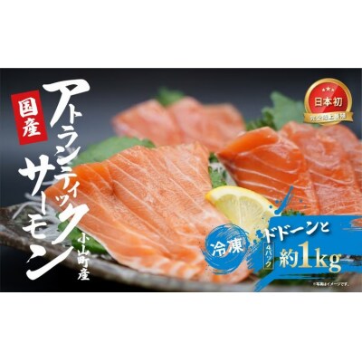 日本初 完全陸上養殖 小山町産 アトランティックサーモン 冷凍 4パック 約1kg