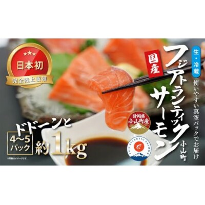 日本初 完全陸上養殖 静岡県小山町産 フジアトランティックサーモン 生 ・冷蔵 4～5P 約1kg