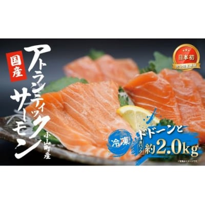 小山町産アトランティックサーモン(8パック)