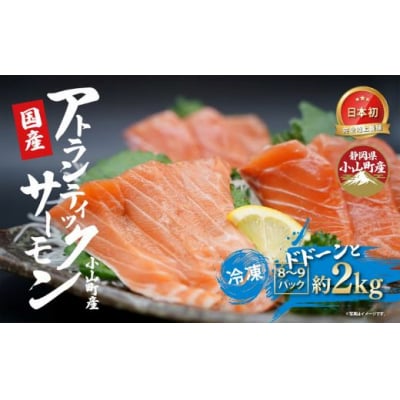 日本初 完全陸上養殖 静岡県小山町産 アトランティックサーモン 冷凍 8～9P 約2kg