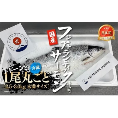 フジアトランティックサーモン(1尾2.5～3.0kg未満)セミドレス