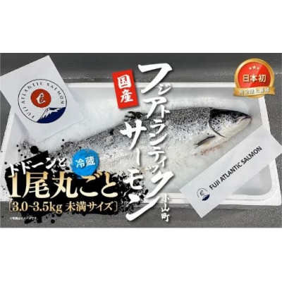 フジアトランティックサーモン(1尾3.0～3.5kg未満)セミドレス