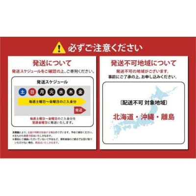 フジアトランティックサーモン(1尾3.0～3.5kg未満)セミドレス