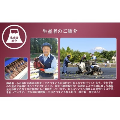 富士山のふところ育ち 紅はるかの焼き芋( 500g × 2袋 ) 