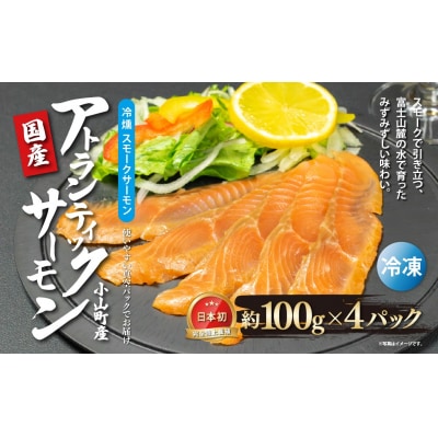 小山町産アトランティックサーモン スモークサーモン (100g×4パック)冷燻 国産サーモン