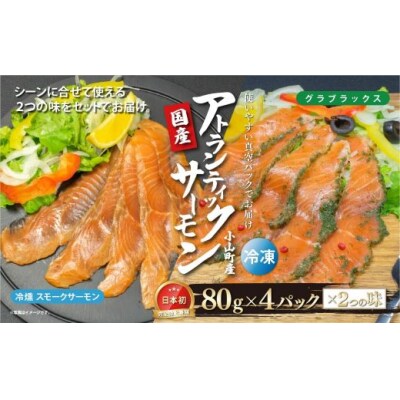 国産 小山町産 アトランティックサーモン 冷凍 スモークサーモン 冷燻・グラブラックス 食べ比べセッ