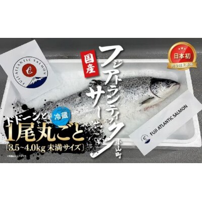 日本初 完全陸上養殖 フジアトランティックサーモン 冷蔵 1尾丸ごと( 3.5～4.0kg未満サイズ