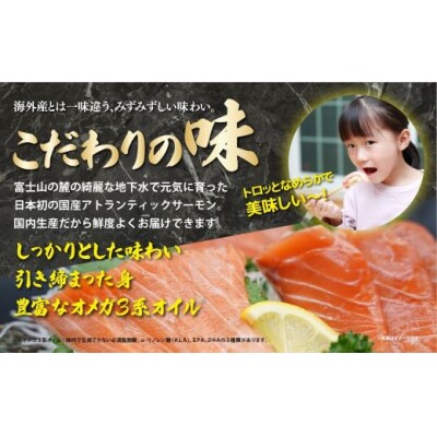 日本初 完全陸上養殖 フジアトランティックサーモン 冷蔵 1尾丸ごと( 3.5～4.0kg未満サイズ