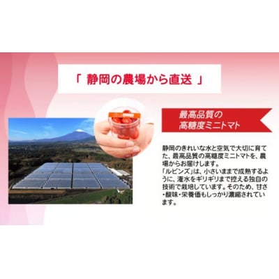 アメーラルビンズ 10パック入り