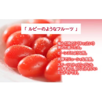 アメーラルビンズ 10パック入り