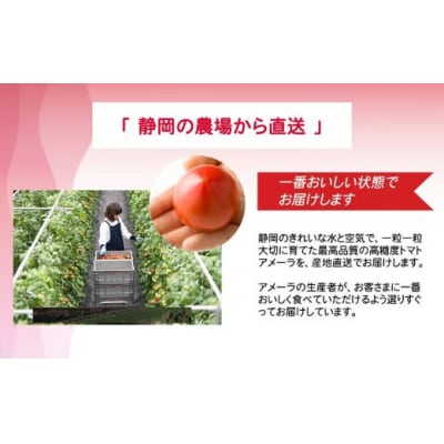 アメーラ&ルビンズ5P