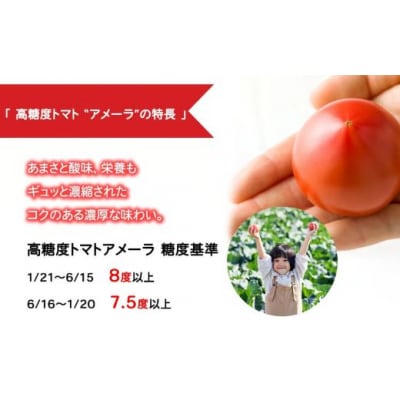 アメーラ&ルビンズ5P