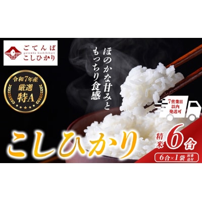 令和7年産 コシヒカリ 【 精米 】 お試し 6合
