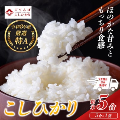 【令和8年産】 米　コシヒカリ　5合　精米　静岡県産　特A　小分け　高評価　【先行予約】　