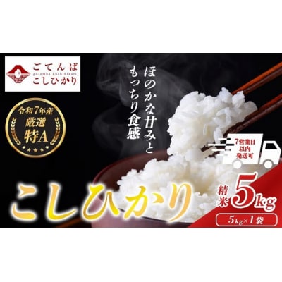 令和7年産 コシヒカリ 【 精米 】 5kg