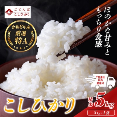 【令和8年産】米 コシヒカリ 5kg 精米 静岡県産 特A 厳選【先行予約】