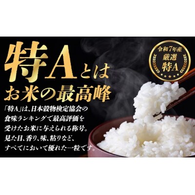 令和7年産 コシヒカリ 【 精米 】 5kg