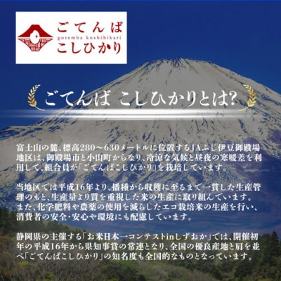 【令和8年産】米 コシヒカリ 5kg 精米 静岡県産 特A 厳選【先行予約】