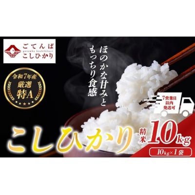 令和7年産 コシヒカリ 【 精米 】 10kg