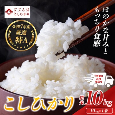 【令和7年産】 米 コシヒカリ 10kg 精米 静岡県産 特A 大容量 高評価
