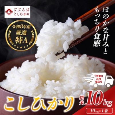 【令和8年産】 米 コシヒカリ 10kg 精米 静岡県産 特A 【先行予約】