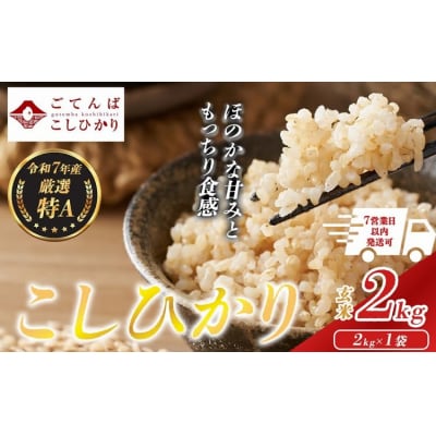 令和7年産 コシヒカリ 【 玄米 】 2kg