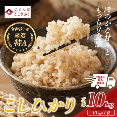 【令和8年産】玄米 コシヒカリ 10kg 静岡県産 特A 厳選【先行予約】